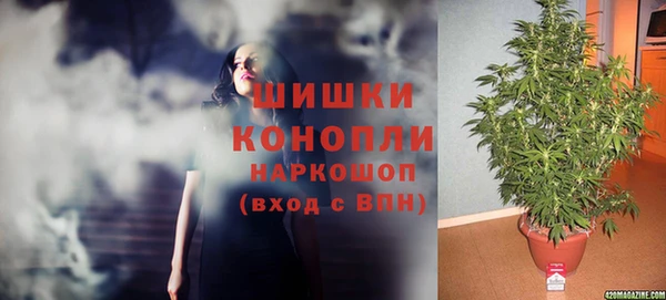 молекула духа Арсеньев