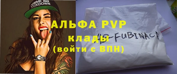 молекула духа Арсеньев