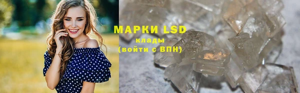 молекула духа Арсеньев