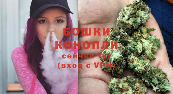 дживик Аркадак