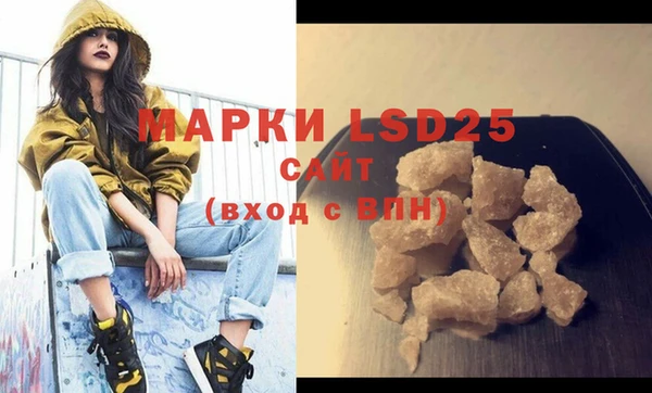молекула духа Арсеньев