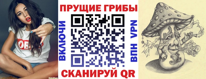 Галлюциногенные грибы Cubensis ОМГ ОМГ ссылки Кировск