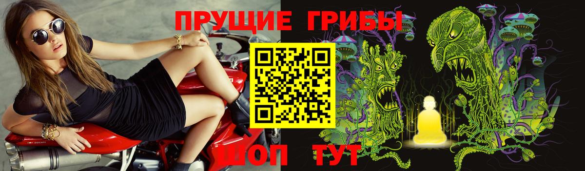 Псилоцибиновые грибы мухоморы  Вход с VPN  закладки  Кировск 
