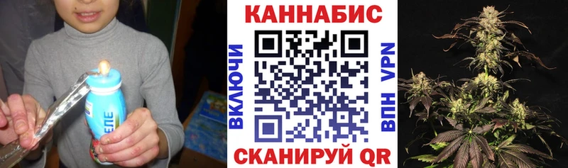 наркошоп  Кировск  Канабис сатива 